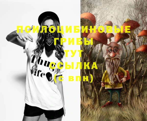 а пвп мука Козельск
