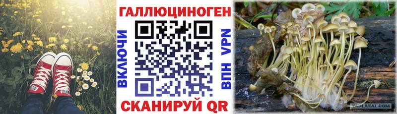 Купить закладки  Великие Луки  Галлюциногенные грибы мицелий 